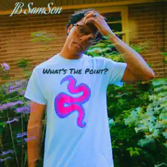 What's the Point? - Single by JB SamSon album reviews, ratings, credits
