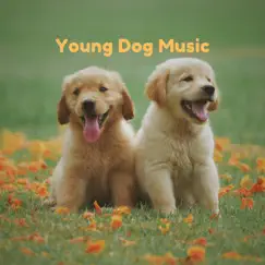 Young Dog Music by Pet Music Therapy, PETS LOVE MUSIC & Piano Peace album reviews, ratings, credits