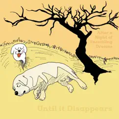 Until it Disappears - Single by After a Night of Unsettling Dreams album reviews, ratings, credits