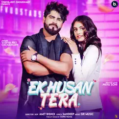 Ek Husan Tera - Single by Vishvajeet Choudhary album reviews, ratings, credits