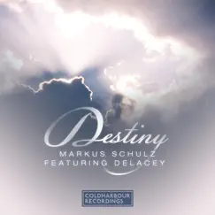 Destiny (feat. DeLacey) Song Lyrics