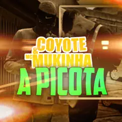 A Picota (feat. MC Mukinha) - Single by Coyote album reviews, ratings, credits