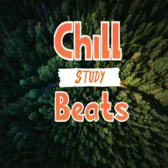 Chill Study Beats - EP by H. K. album reviews, ratings, credits