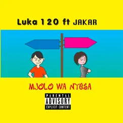 Mjolo Wa Nyisa (feat. Jakar) - Single by Luka 120 album reviews, ratings, credits