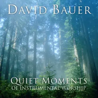 Quiet Moments of Instrumental Worship by David Bauer album download