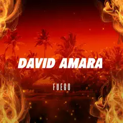 Fuego - Single by David Amara album reviews, ratings, credits
