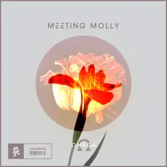 Omega - EP by Meeting Molly album reviews, ratings, credits
