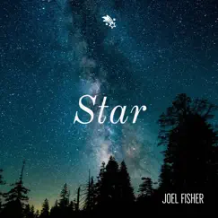 Star - Single by Joel Fisher album reviews, ratings, credits