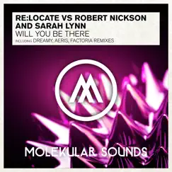 Will You Be There by Re:Locate, Robert Nickson & Sarah Lynn album reviews, ratings, credits