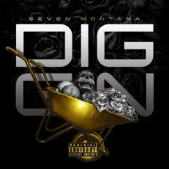 Diggin - Single by Seven Montana album reviews, ratings, credits