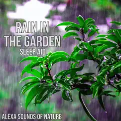 Rain in the Garden Song Lyrics
