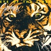 Eye of the Tiger by Survivor song lyrics