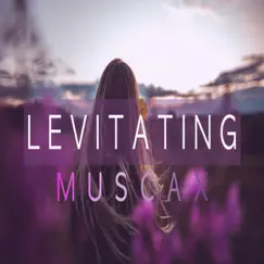 Levitating (Instrumental Version) Song Lyrics