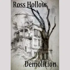 Demolition - Single by Ross Hollow album reviews, ratings, credits