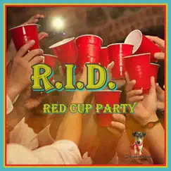 Red Cup Party Song Lyrics