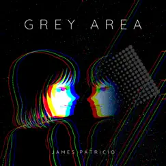 Grey Area Song Lyrics