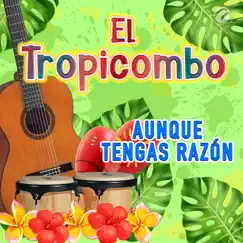 Aunque Tengas Razón - Single by El Tropicombo album reviews, ratings, credits