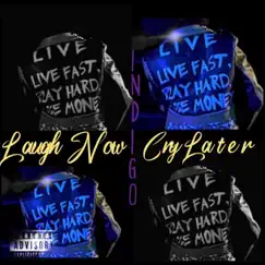 Laugh Now Cry Later - Single by INDIGO album reviews, ratings, credits
