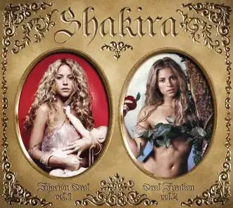 Download La Pared (Versión Acústica) Shakira MP3