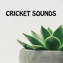Cricket Sounds by Cricket Sounds album reviews, ratings, credits
