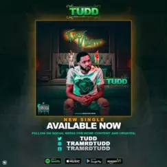 First Night - Single by Tudd album reviews, ratings, credits