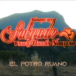El Potro Ruano - Single by Norberto Salgado y su Ciclón Norteño album reviews, ratings, credits