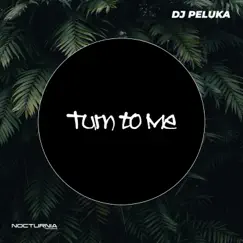 Turn To Me - Single by Dj Peluka album reviews, ratings, credits