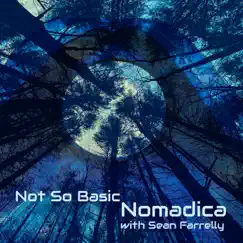 Not So Basic (feat. Sean Farrelly) - Single by Nomadica album reviews, ratings, credits
