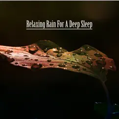 Relaxing Rain For a Deep Sleep by Rain Sounds, SleepTherapy & Nature Sounds album reviews, ratings, credits