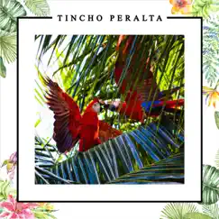 Suri - Single by Tincho Peralta album reviews, ratings, credits