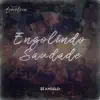 Engolindo Saudade - Single album lyrics, reviews, download