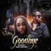 Goodbye (feat. Tierra Renee & B Dubb) - Single album lyrics, reviews, download