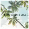 I Like What I Like - Single album lyrics, reviews, download