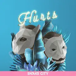 Hurts Song Lyrics