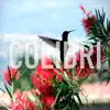 Colibri - Single album lyrics, reviews, download