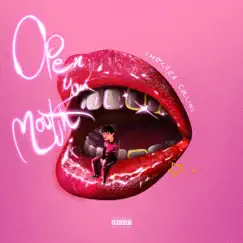 Open Your Mouth - Single by Chelsea Collins album reviews, ratings, credits