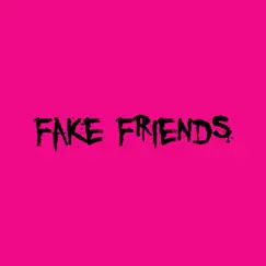 Fake Friends - Single by Black Hoodie album reviews, ratings, credits