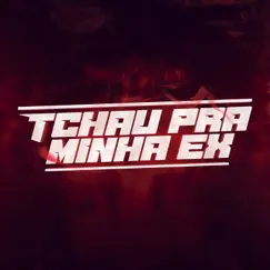 Tchau Pra Minha Ex - Single by DJ Guizão album reviews, ratings, credits