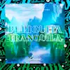 Periquita Tranquila (feat. Mc BL) - Single album lyrics, reviews, download