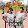 15 Temas en El Dialecto Pirecua (Mariachi) album lyrics, reviews, download