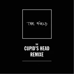 Cupid's Head (Vatican Shadow Mix) Song Lyrics