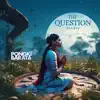 The Question (rebirth) - Single album lyrics, reviews, download