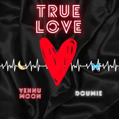 True Love (feat. Doumie) - Single by Vehnu Moon album reviews, ratings, credits