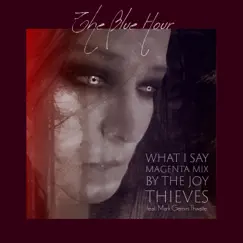 What I Say (feat. Mark Gemini Thwaite & the Joy Thieves) [MaGenTa mix] [MaGenTa mix] - Single by The Blue Hour album reviews, ratings, credits