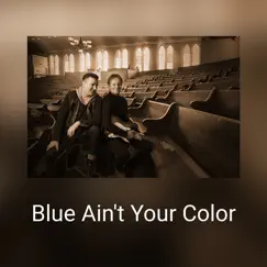 Blue Ain't Your Color Song Lyrics