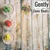 Gently - Single album lyrics, reviews, download