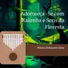 Adormeça-Se com Kalimba e Sons da Floresta album lyrics, reviews, download