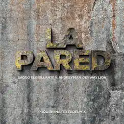 La Pared (feat. Andreyman & jey way lion) Song Lyrics
