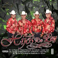 Cumbias Para Bailar by Hijos De Ley album reviews, ratings, credits