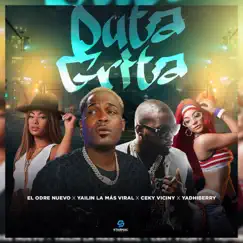 Puta Grita (feat. Yadhiberry) - Single by El Odre Nuevo, Yailin la Mas Viral & Ceky Viciny album reviews, ratings, credits